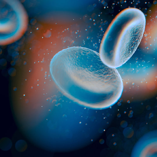 12_Tips_to_Help_Treat_Low_Blood_Pressure_Hypotension