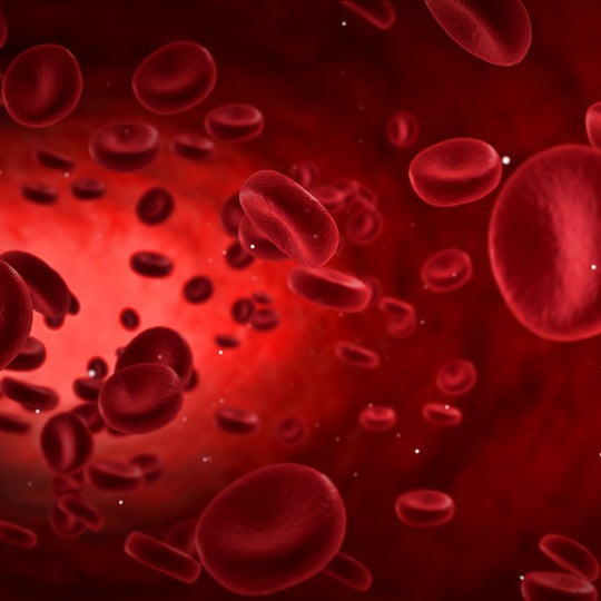 How_to_Lower_Your_Blood_Pressure_12_Supplements_For_High_Blood_Pressure_Hypertension_Natural_Treatment