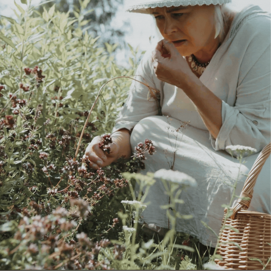 A Home Herbal Apothecary Gives You Independence