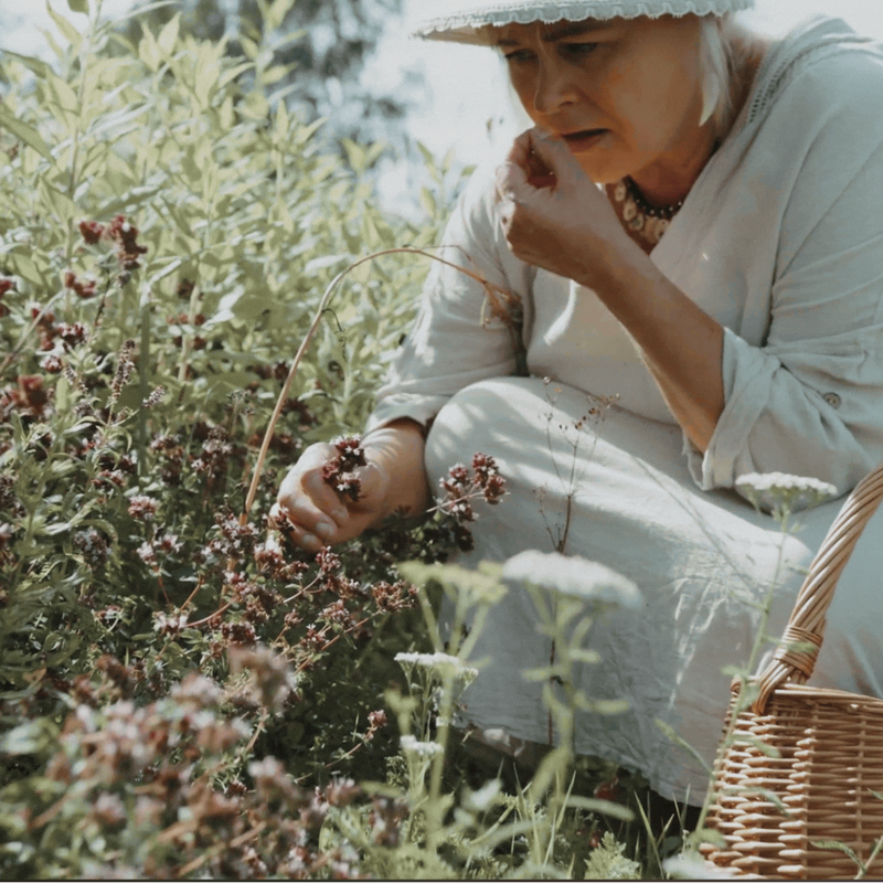 A Home Herbal Apothecary Gives You Independence