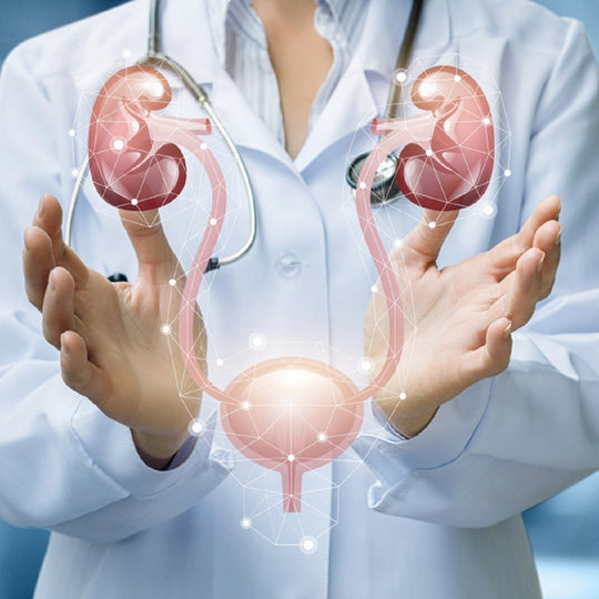 Urinary_Tract_Infections