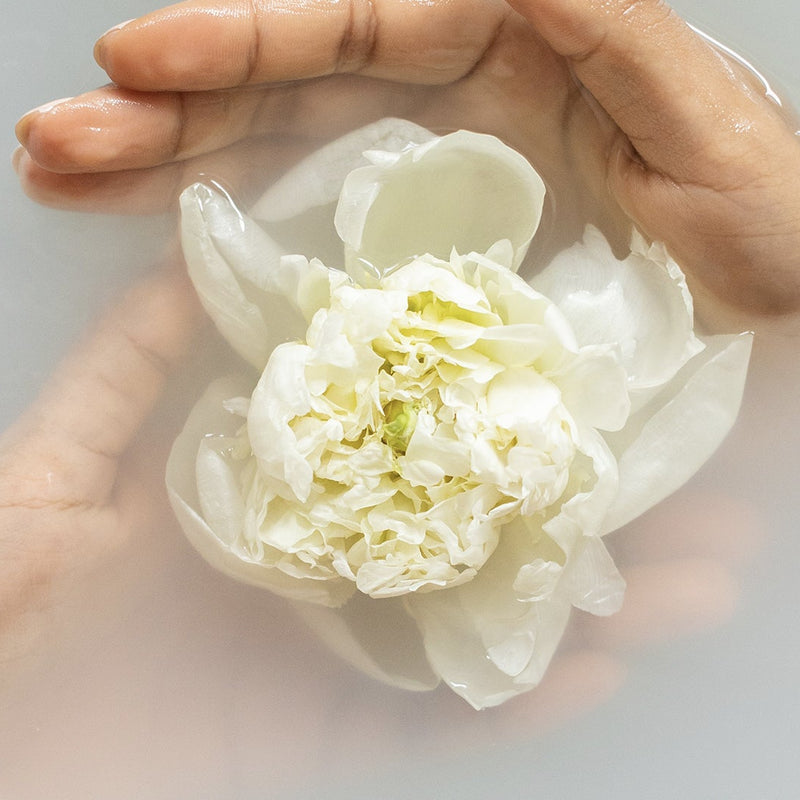 Hands holding a white flower in pale water.
