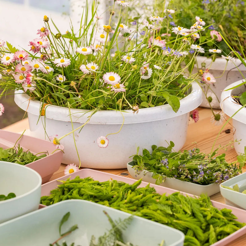 Bowls of fresh herbs and flowering plants on an outdoor table.