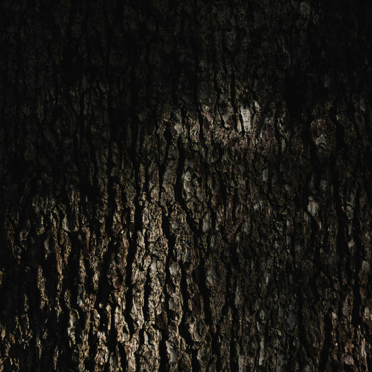 Darkness: An Invitation… Oh, and also Witches