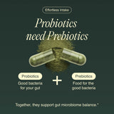 Bacillus Subtilis+