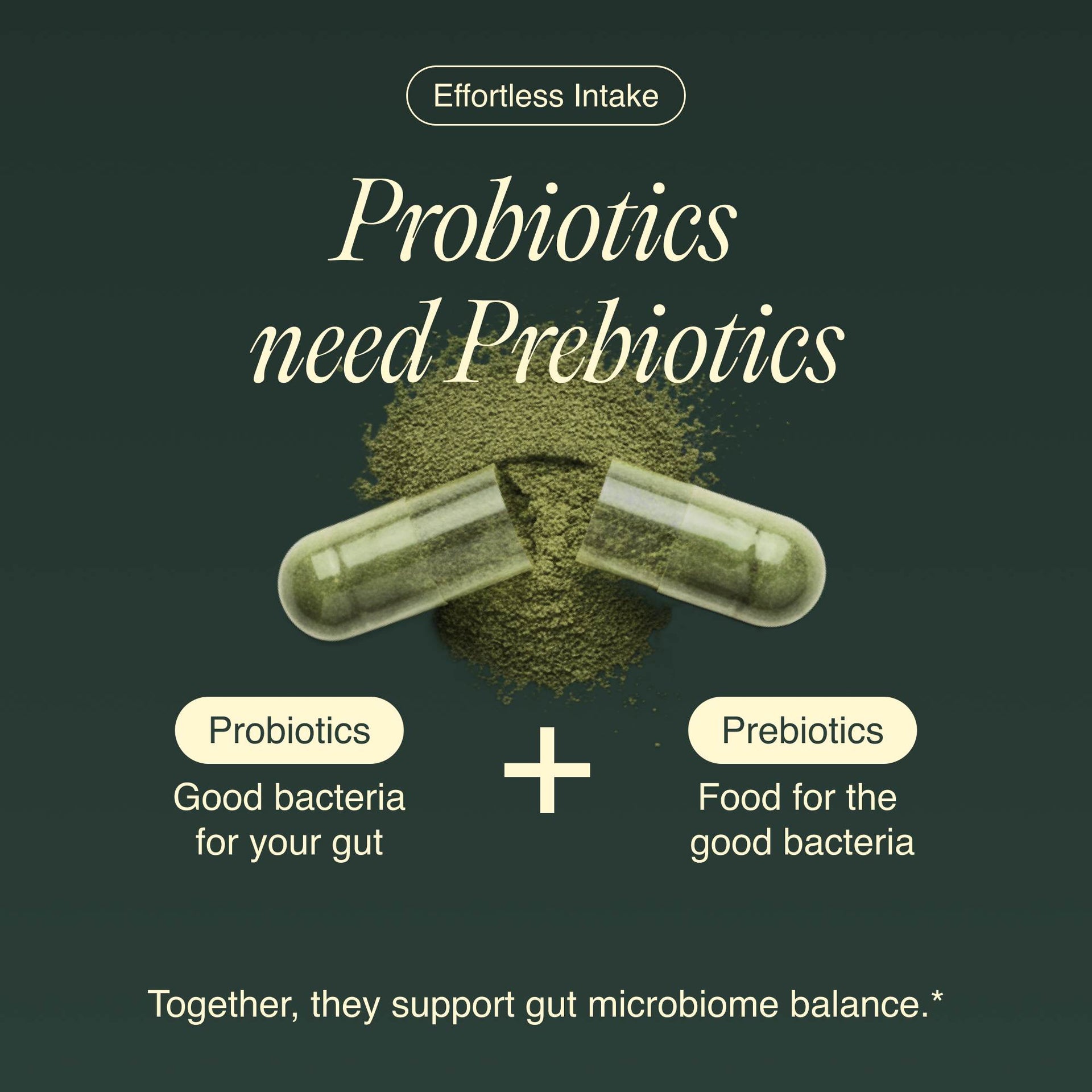 Bacillus Subtilis+