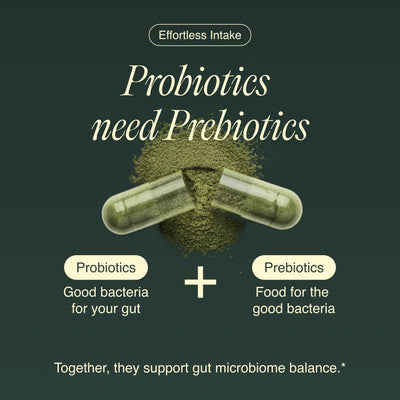 Bacillus Subtilis+