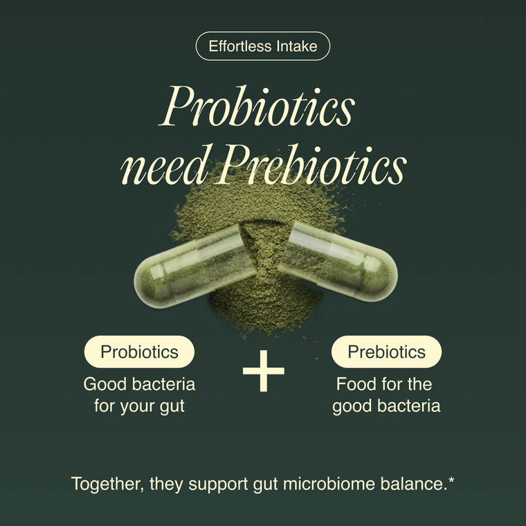 Bacillus Subtilis+