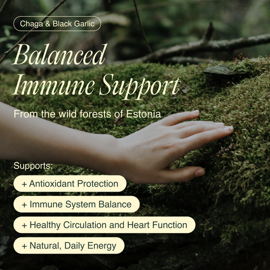Chaga & Black Garlic