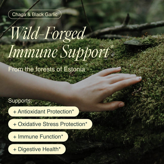 Chaga & Black Garlic