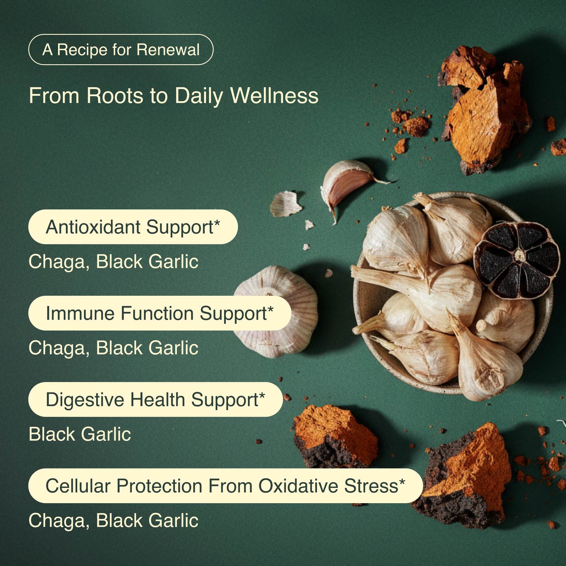 Chaga & Black Garlic