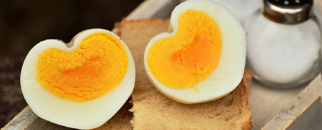 Egg Yolks are rich in vitamin D