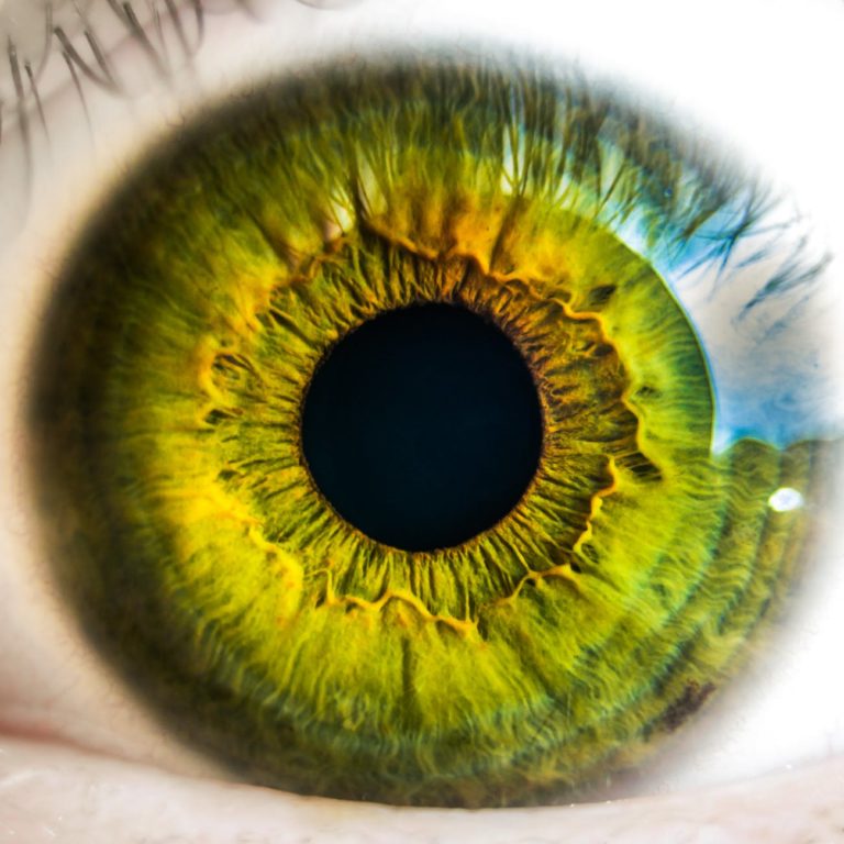 Read more about the article EYE HEALTH – What Actually Worsens Vision and What Supports the Eyes?