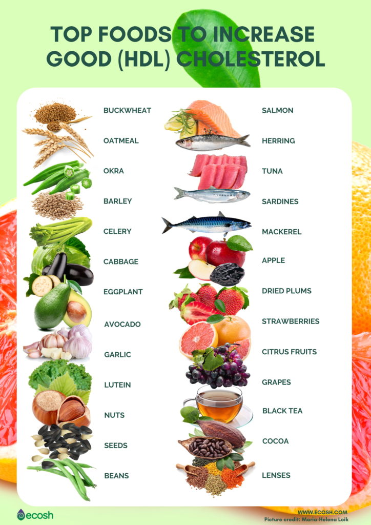 HDL And LDL Cholesterol How To Lower Bad Cholesterol Ecosh Life   Ecosh.com 3 1 724x1024 