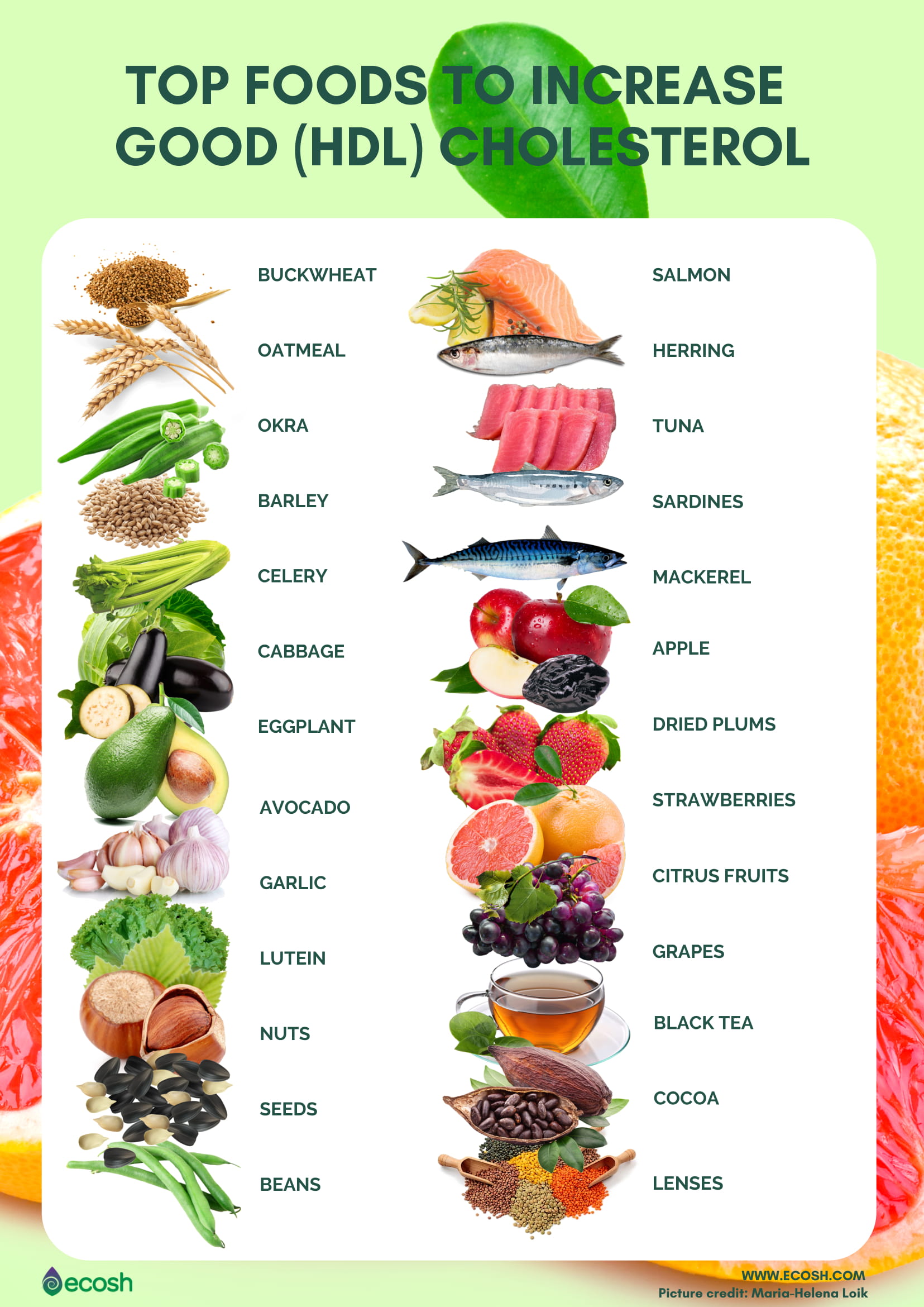 cholesterol-balancing-foods-the-best-foods-for-lowering-the-bad-ldl-and