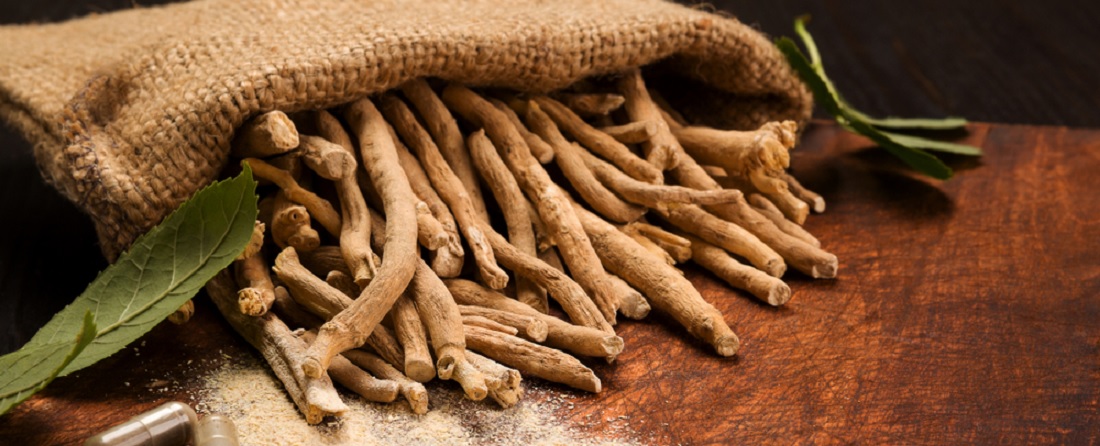 Ashwagandha Root Benefits