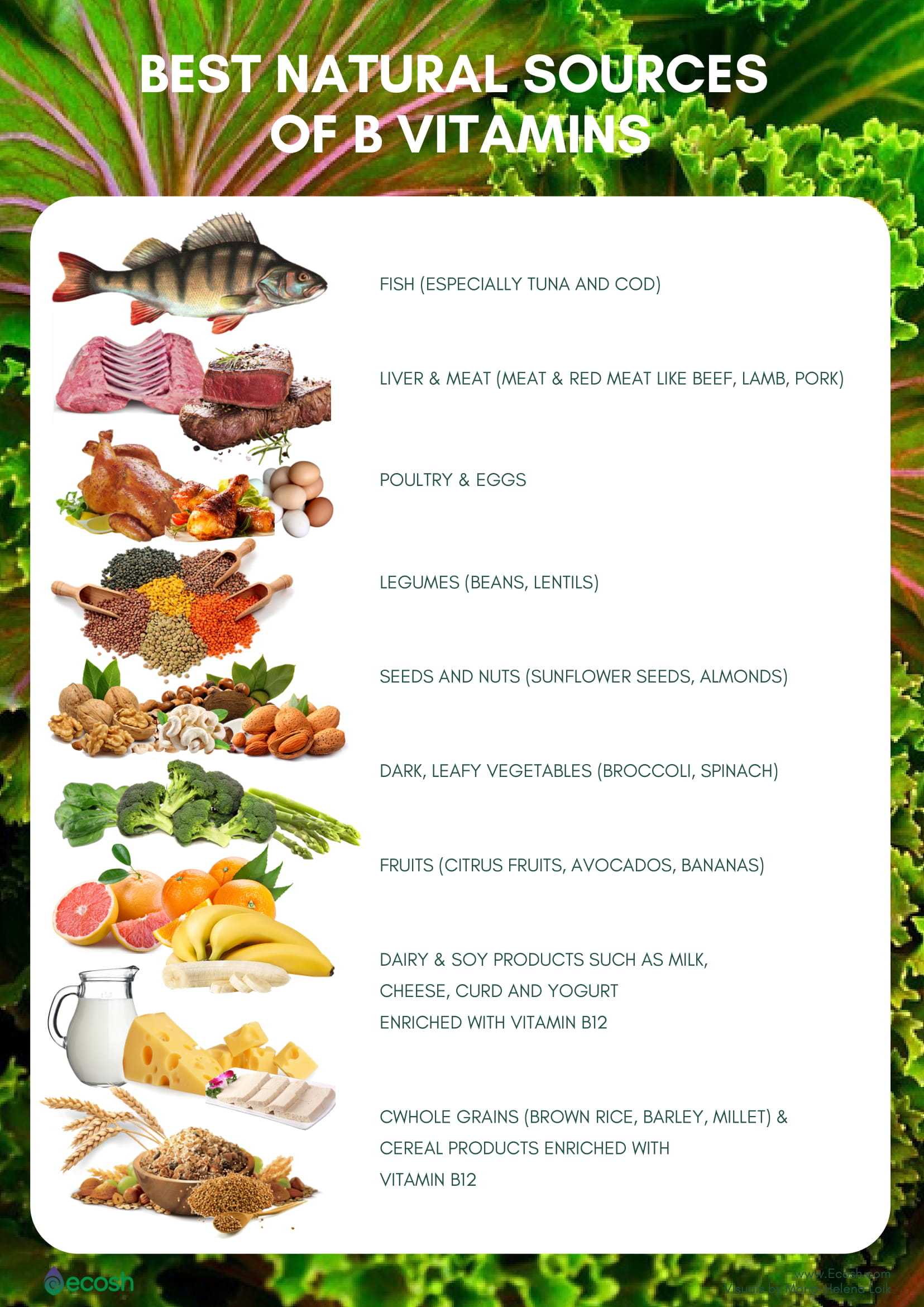 Foods with b vitamins