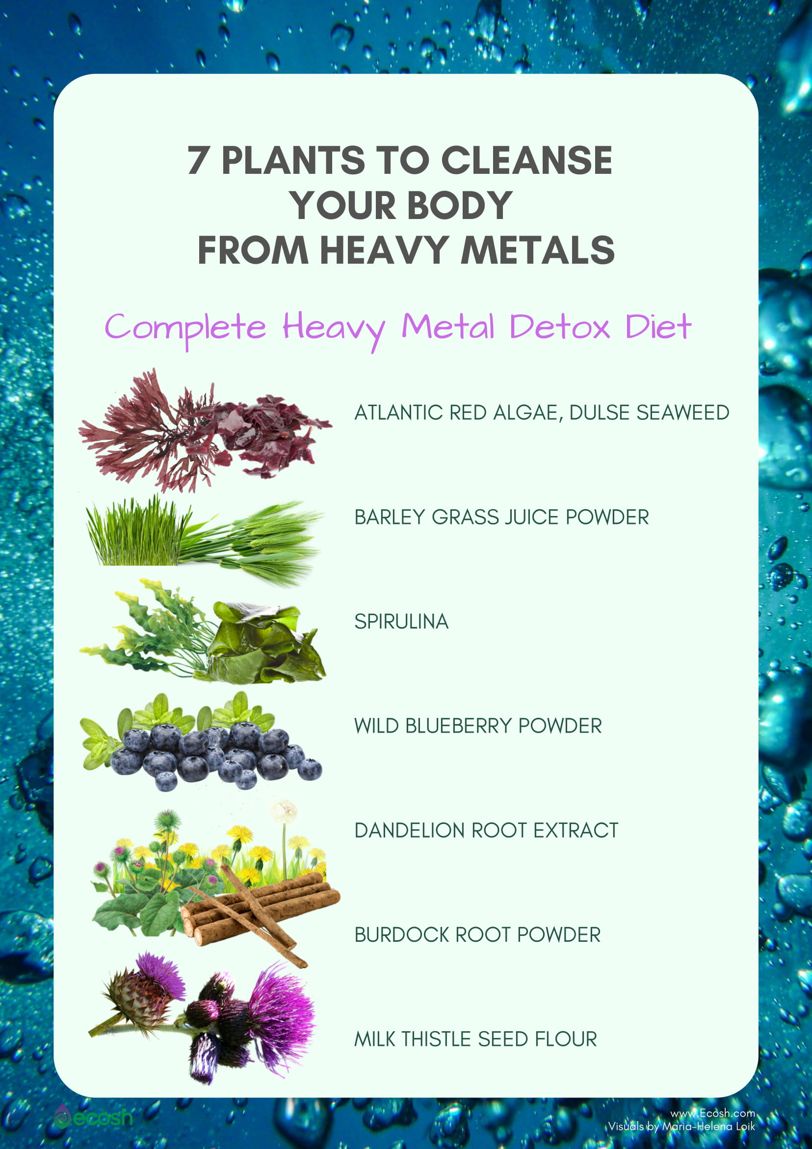 Full detox diet - 7 plants that help to cleanse your body from heavy metals naturally