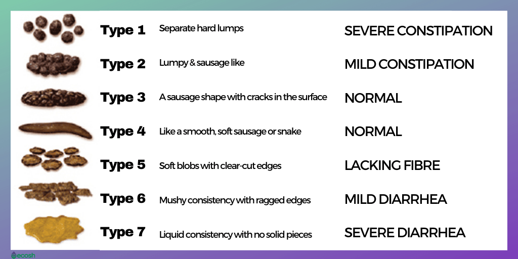 Bristol Stool Scale