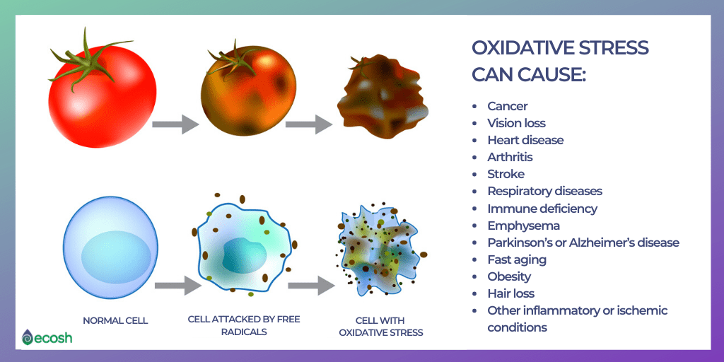 Examples Of Free Radicals In Human Body