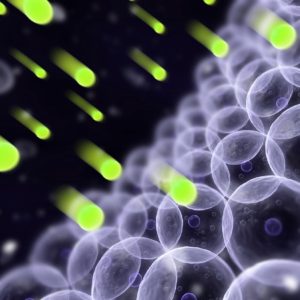 free radicals damage