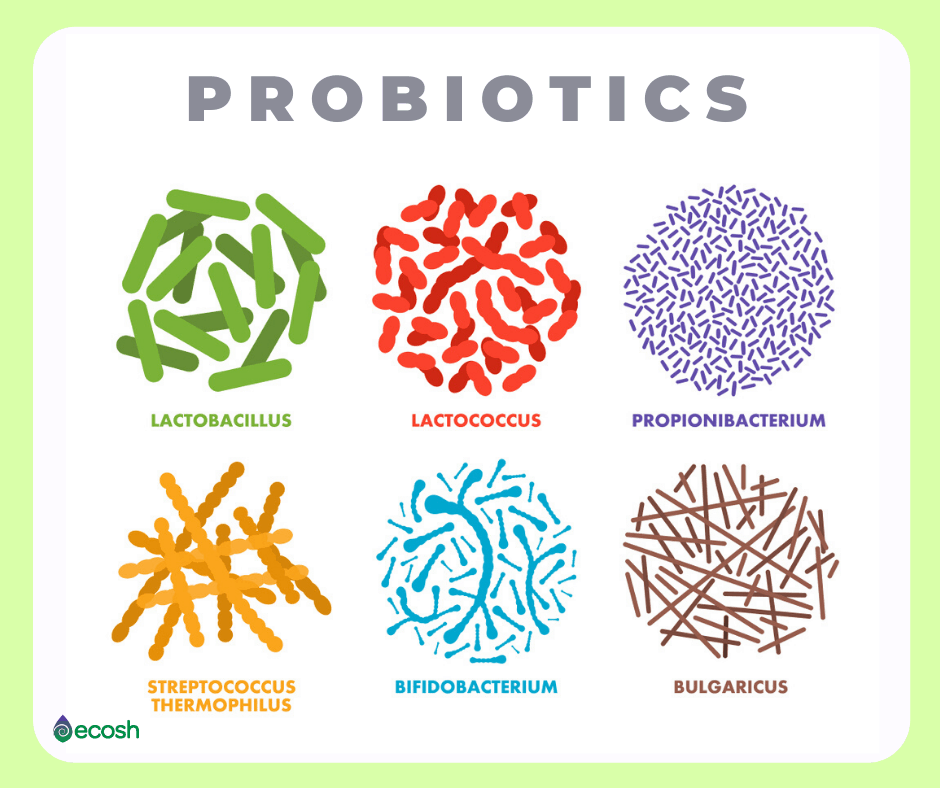 DYSBIOSIS- Microbial Imbalance Symptoms, Causes and Natural Treatment -  Ecosh