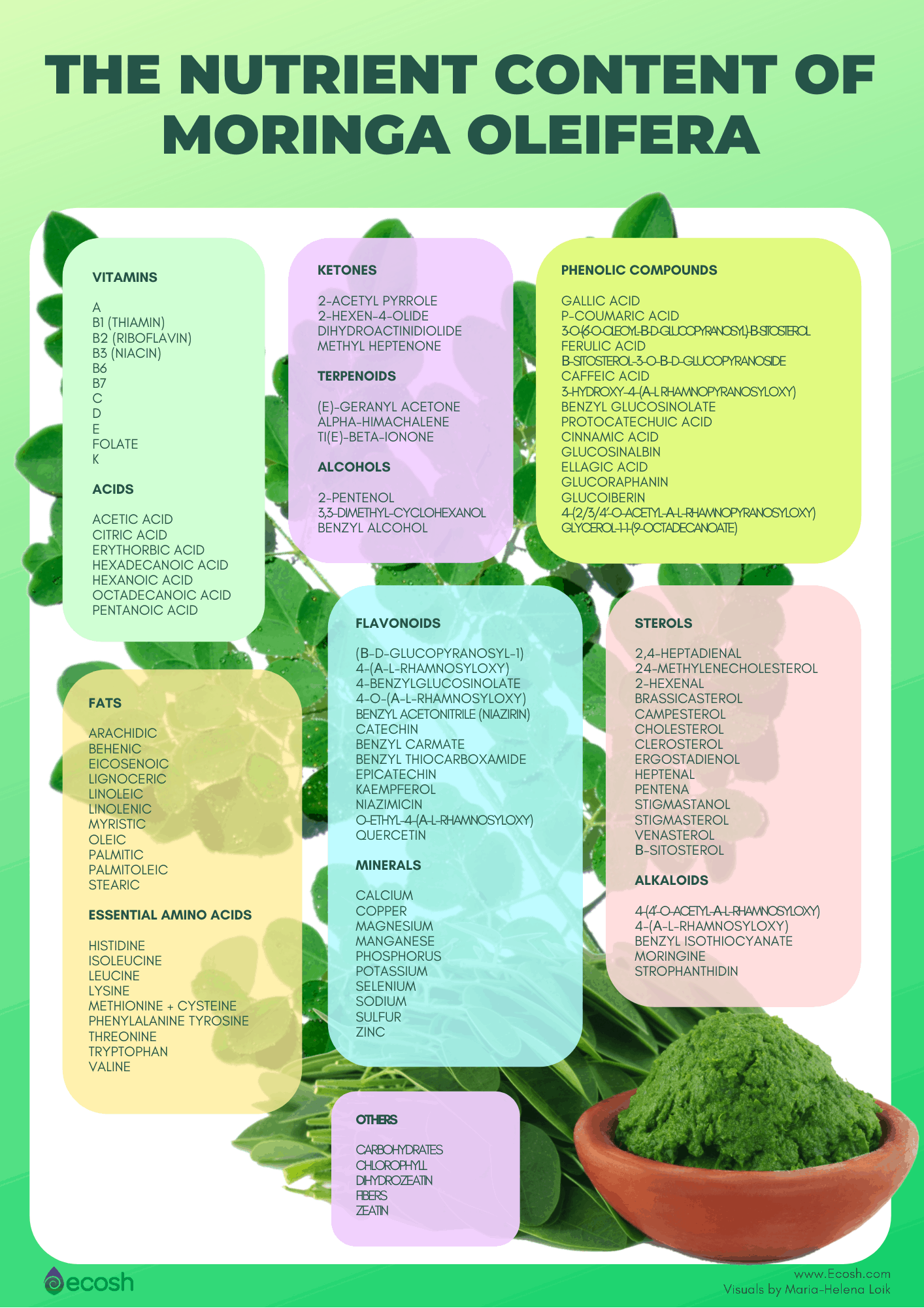 Ecosh_The_Nutrient_Content_Of_Moringa_Oleifera_Moringa_Nutrients
