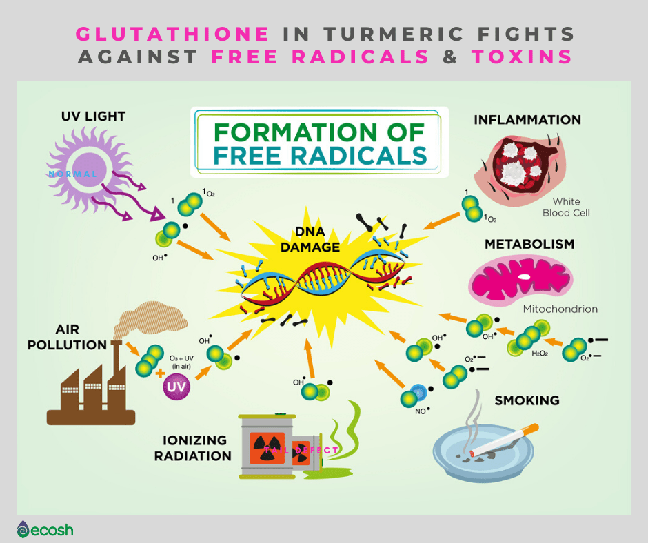 Glutathione in Turmeric Fights Against Free Radicals and Toxins