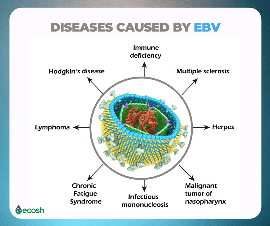 how long is glandular fever infectious