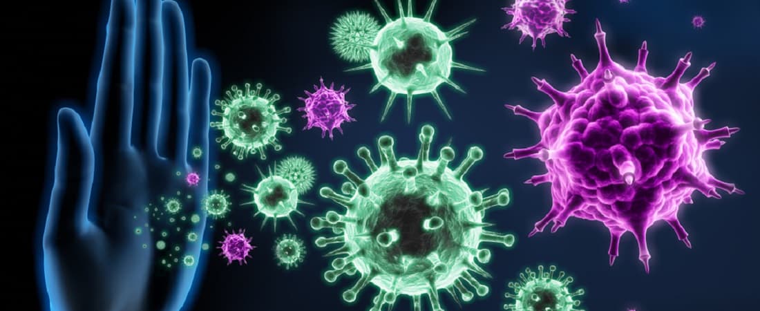 Epsten-Barr_Virus_EBV_and_Immune_System