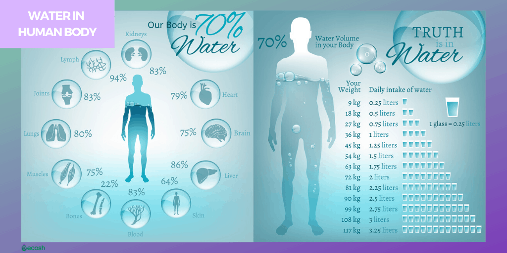 Water_consumtion_How_much_water_your_body_needs_to_look_younger_and_stay_healthy