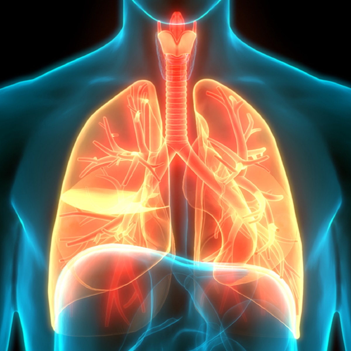 Bronchitis Meaning In Tamil