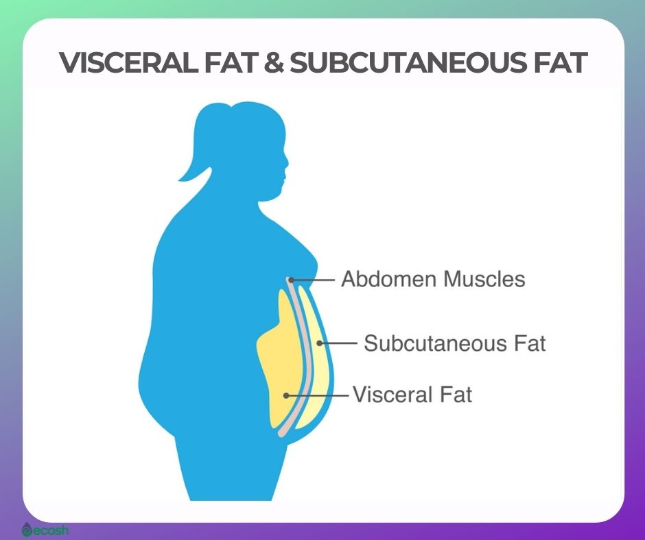 DIFFERENCE BETWEEN VISCERAL FAT AND SUBCUTANEOUS FAT AND HOW TO GET RID OF VISCERAL FAT