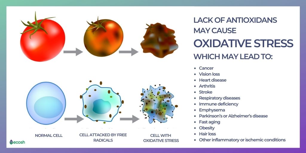 Free_radicals_cause_oxidative_stress_that_may_cause_cancer_Antioxidants_health_benefits