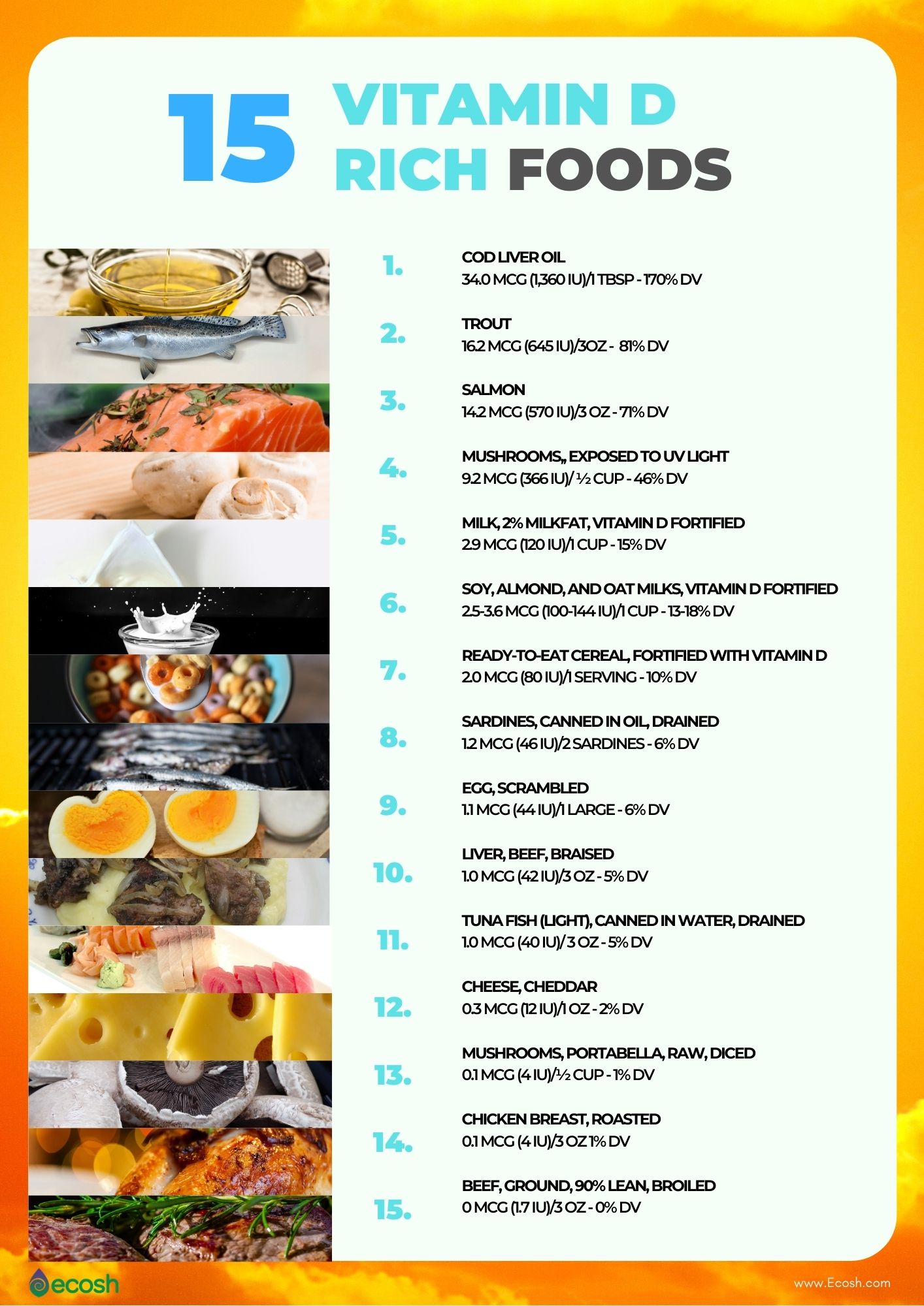 Vitamin D Rich Foods Printable List 9624