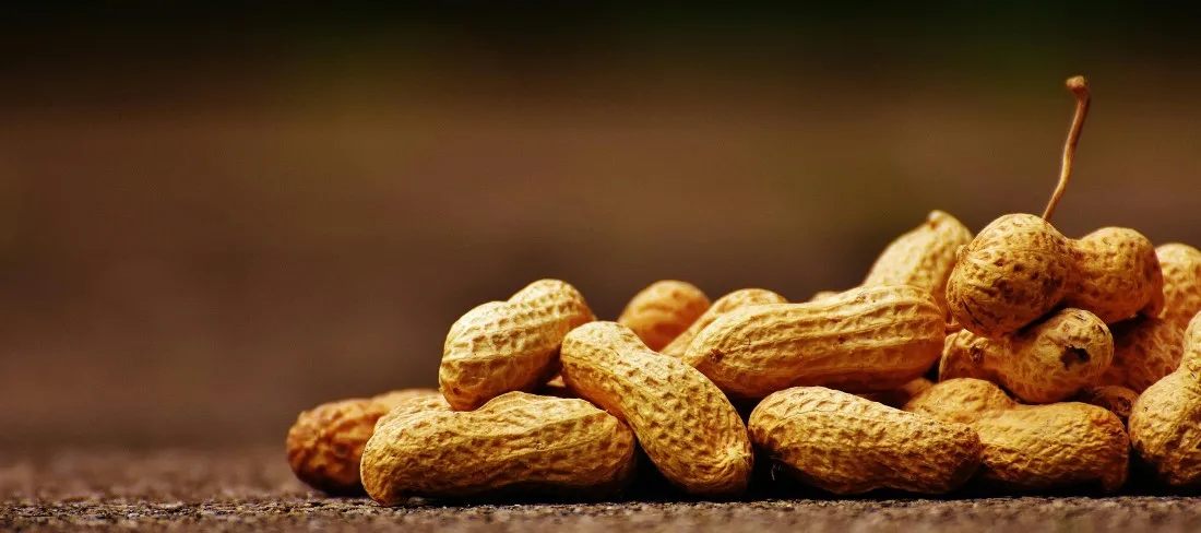 8. Nuts_may_contain_heavy_metals_such_as_phosphorus_that_is_why_it_is_important_to_cleance_your_body_and_and_follow_heavy_metal_detox_diet