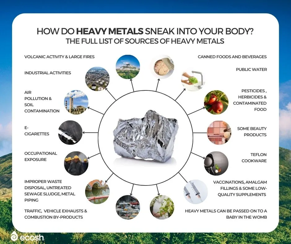 ECOSH_How_Do_Heavy_Metals_Sneak_into_Your_Body_The_Full_List_of_Sources_of_Heavy_Metals