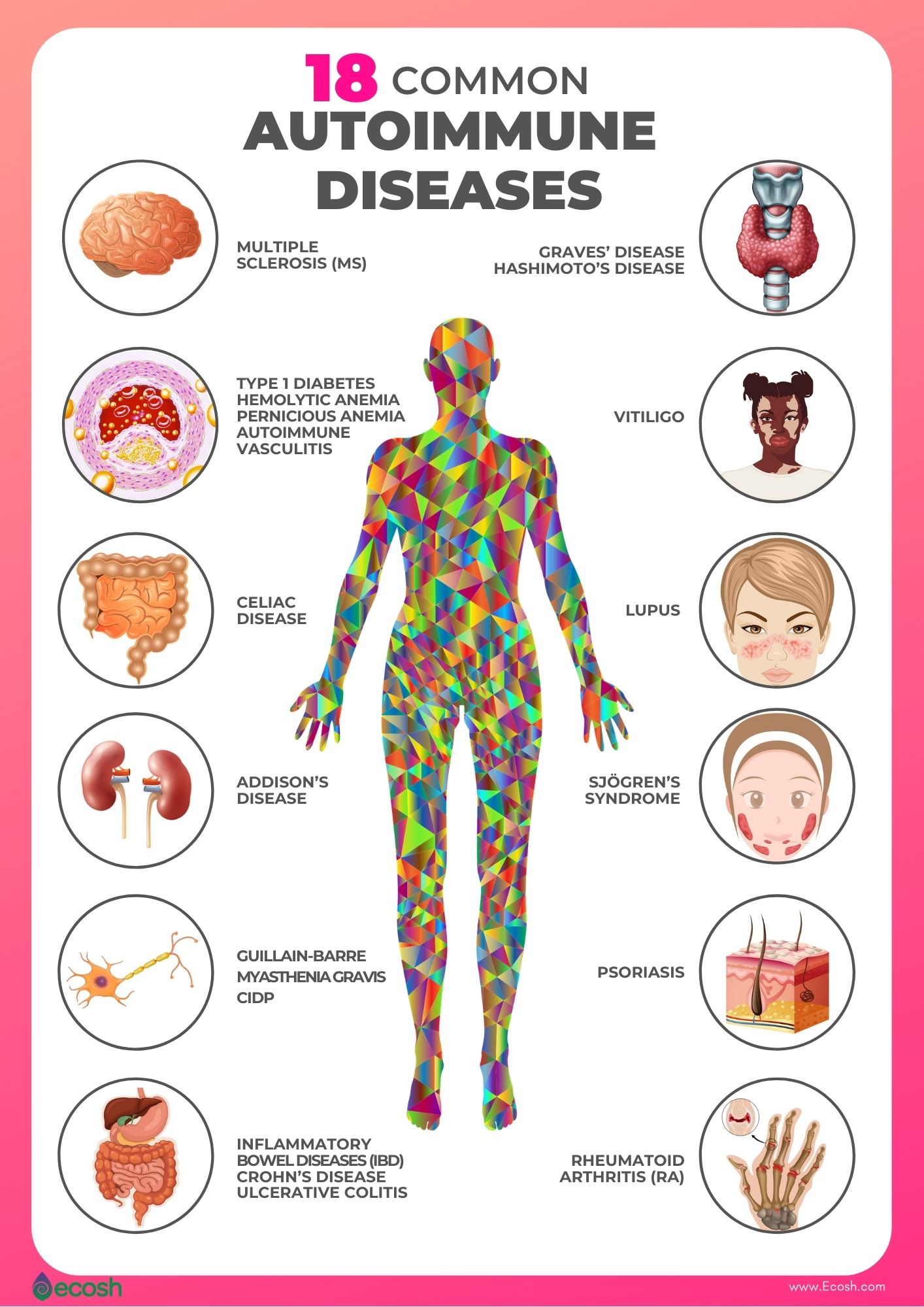 The_List_of_Most_Common_Autoimmune_Diseases