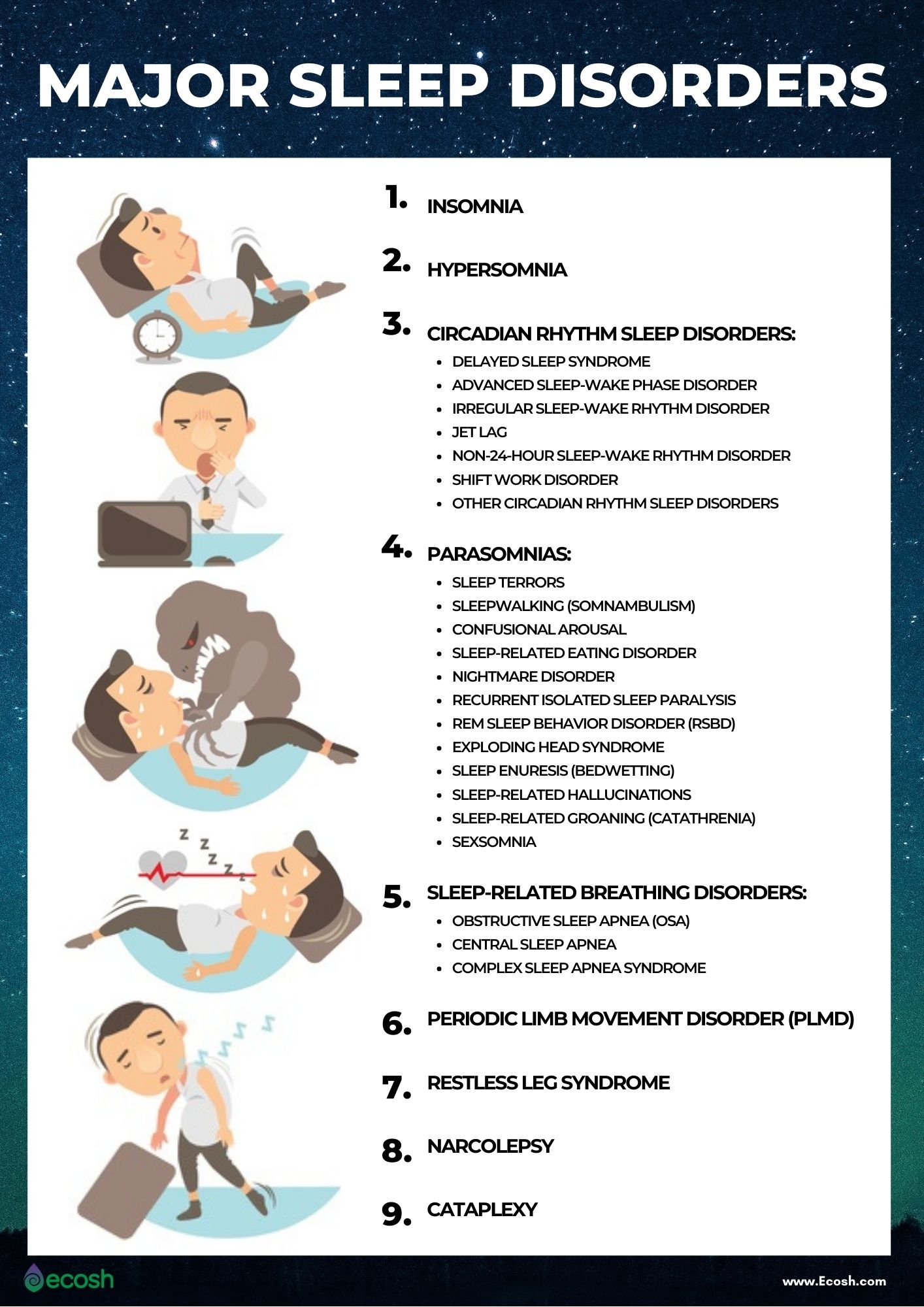 Major Sleep Disorders Explained The Full List Of Most Common Sleep Disorders And How To Manage 