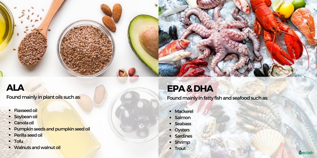 The_Difference_Betveen_ALA_EPA_and_DHA_ALA_Rich_Foods_DHA_and_EPA_Rich_Foods