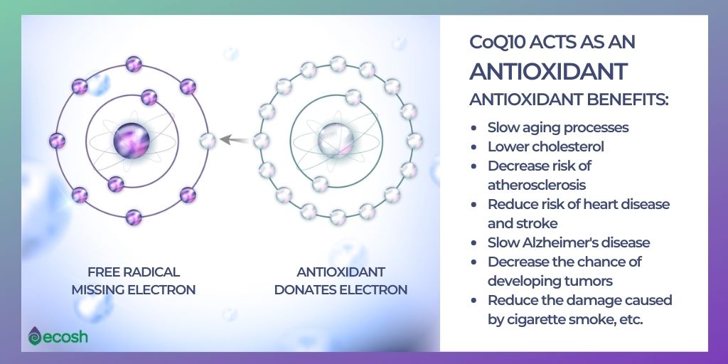 Coenzyme Q and stroke prevention