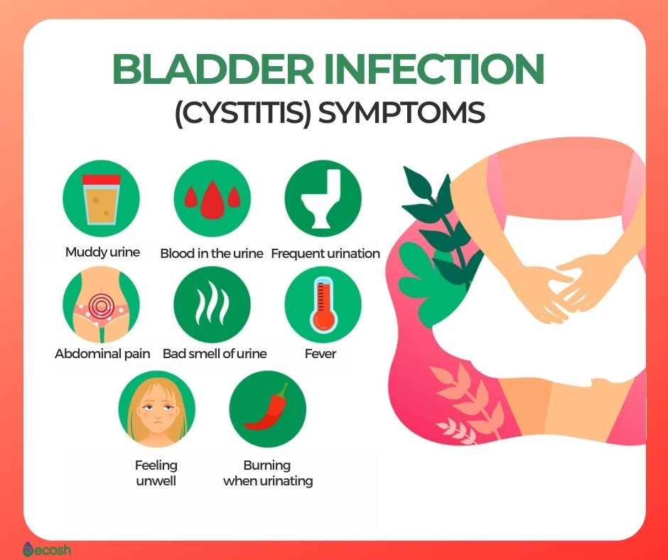 Ecosh_Bladder_Inflammation_Symptoms_Bladder_Infection_Symptoms_Cystitis_Symptoms_Bladder_Inflammation_Signs_Bladder_Infection_Signs_Cystitis_Signs