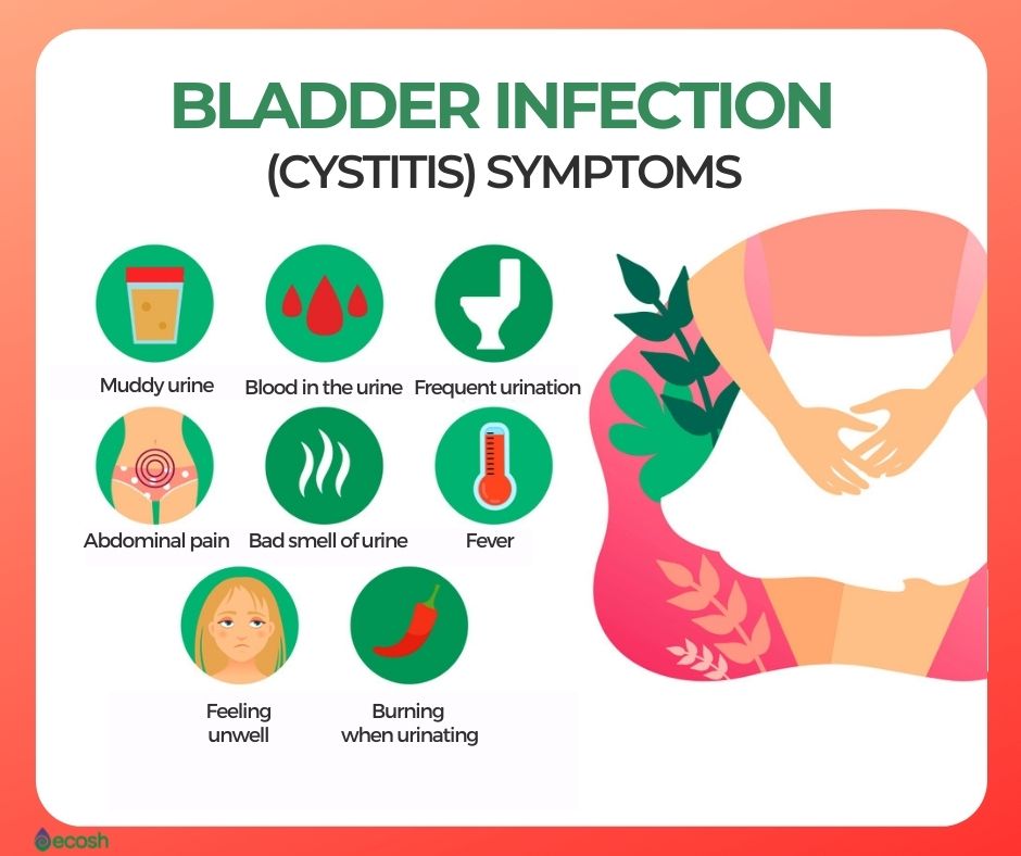 Bladder Infection Treatment