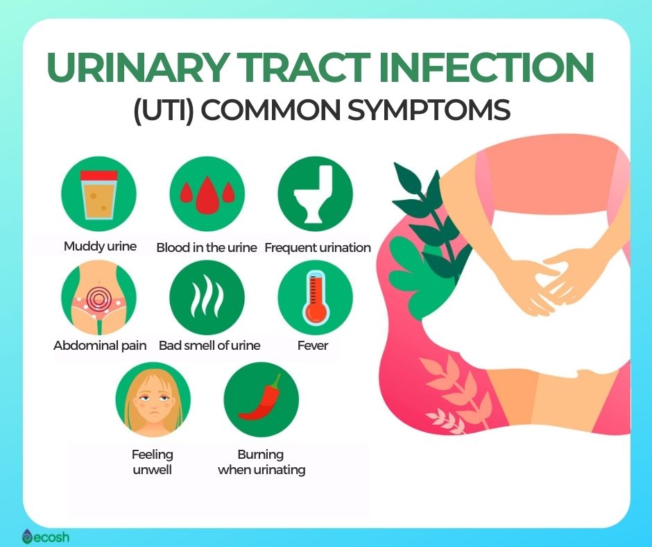 UTIs in pregnancy - Signs, symptoms and causes of UTIs