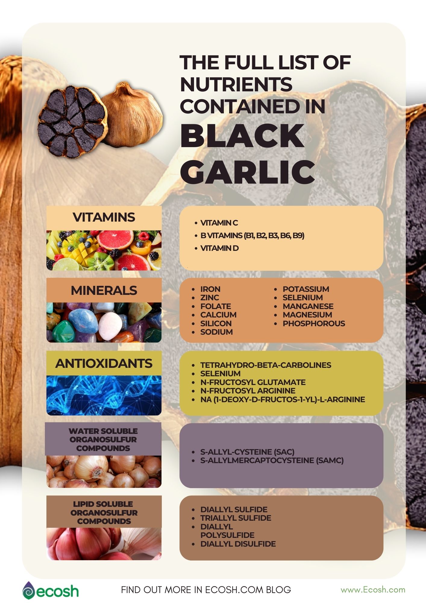 Ecosh_The_Full_List_of_Nutrients_In_Black_Garlic_Vitamins_In_Black_Garlic_Minerals_in_Black_Garlic_Antioxidants_In_Black_Garlic_Black_Garlic_Supplements