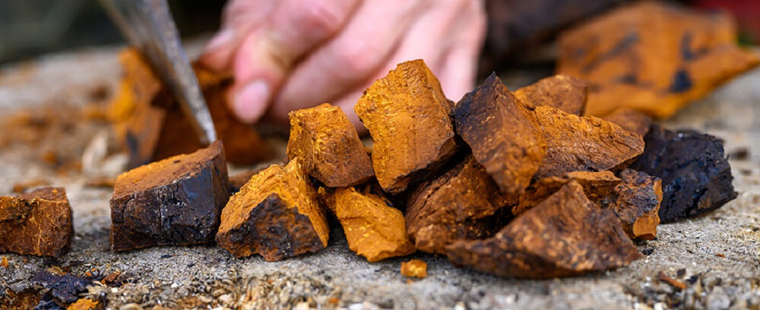 chaga a magas vérnyomásért szívritmuszavar fajtái