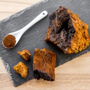 INONOTUS_OBLIQUUS_Chaga_Mushroom_Chaga_Supplements_Clinker Polypore_Black Mass_Birch Canker Polypore_Cinder Conk_Sterile Conk Trunk Rot