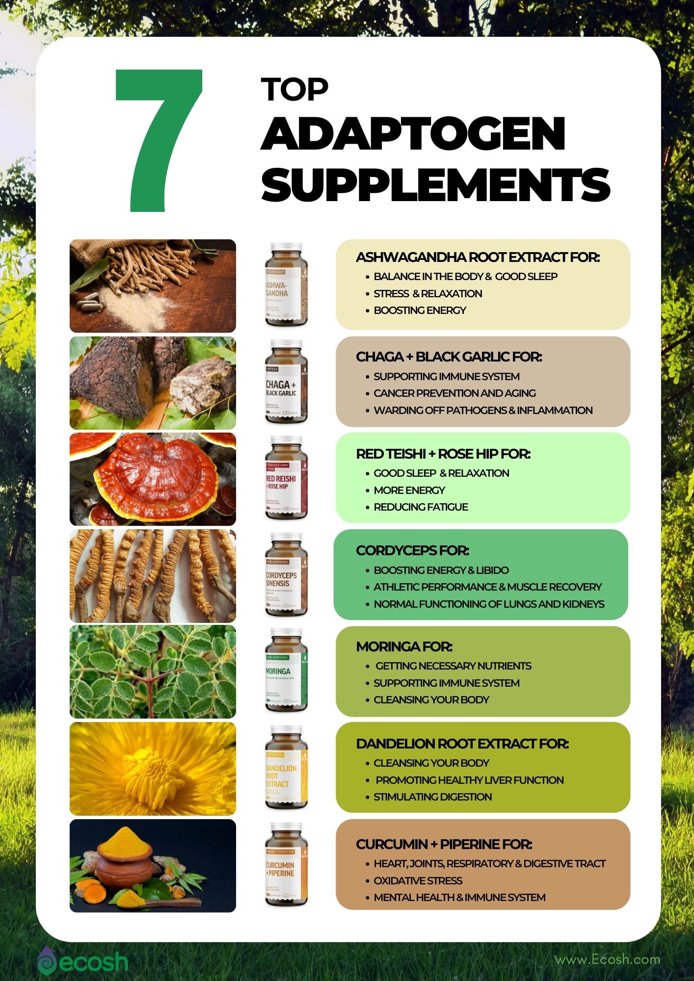 Best_Adaptogen_Supplements_Top_Adaptogenic_Supplements_Medicinal_Mushrooms_Adaptogens_For_Stress_Adaptogens_Figh_Stress_Adaptogens_For_More_Energy_Adaptogens_For_Cancer_Adaptogens_Benefits