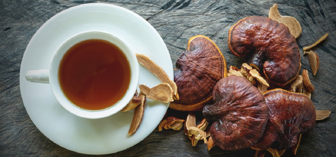 Red_Reishi_Mushroom_Ganoderma