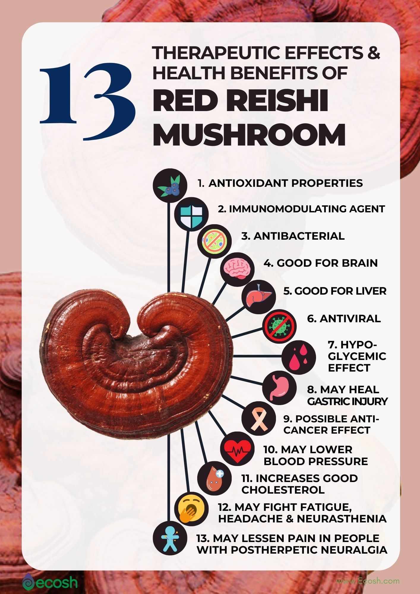 Therapeutic_Effects_of_Red_Reishi_Mushroom_Health_Benefits_of_Red_Reishi_Mushroom_Health_Benefits_of_Ganoderma_Therapeutic_Effects_of_Ganoderma_Reishi_Health_Benefits_Lingzhi_Health_Benefits_